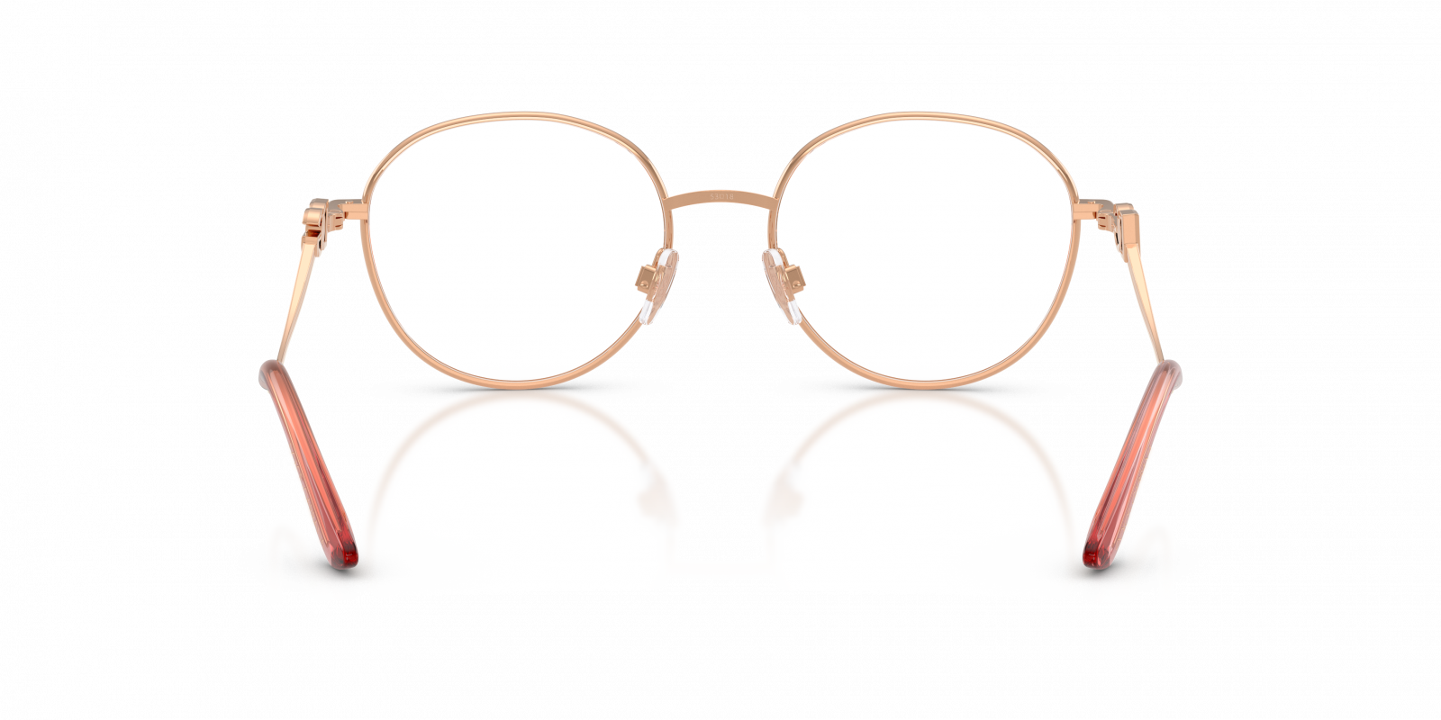 Dolce & Gabbana DG1365 1369  